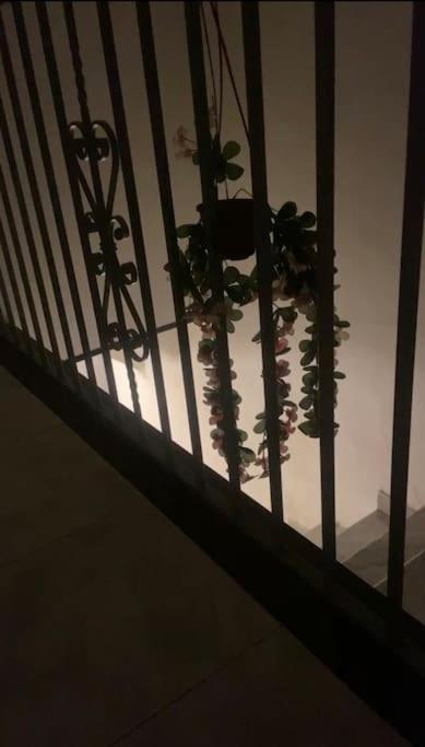 O'Core'E Napule' Apartment Наполи Екстериор снимка